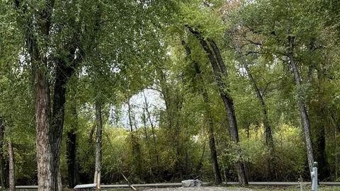 River B/C Camp Site — image 6 of 6