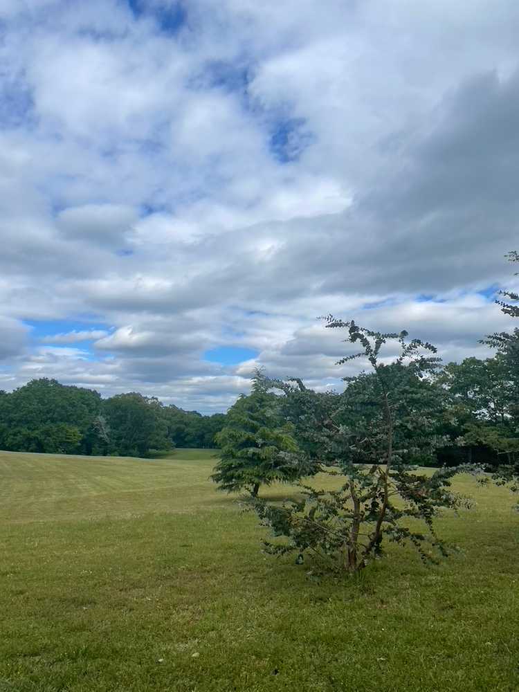 Ivy Acres RV Park, Piedmont, South Carolina - Photo 4