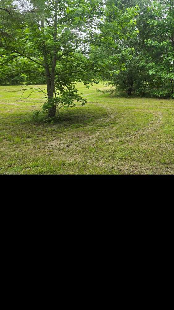 Park Image 9