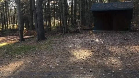 Tent/Shelter Site — image 2 of 2