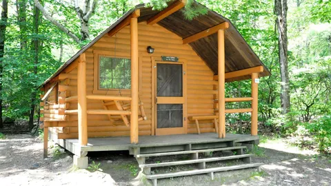 2 Bedroom Rustic Cabin — image 1 of 4