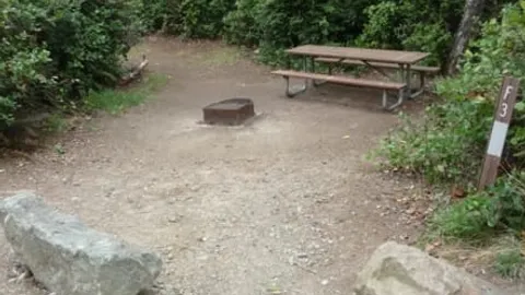 Brown Tent Site — image 8 of 8