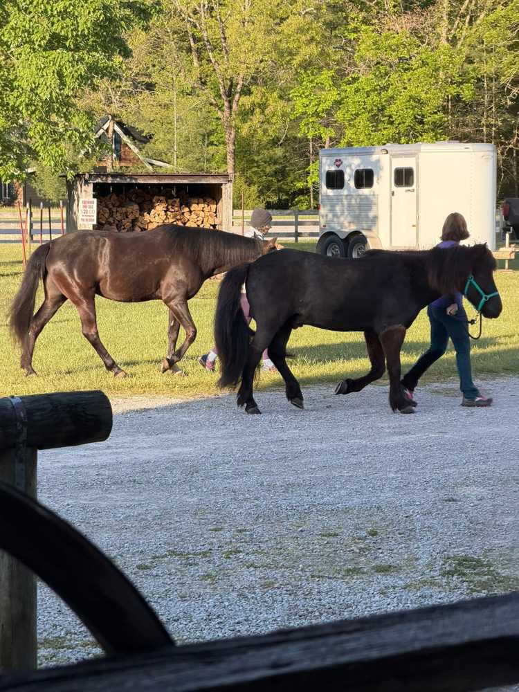 True West Campground and Stables, Jamestown, Tennessee - Photo 4