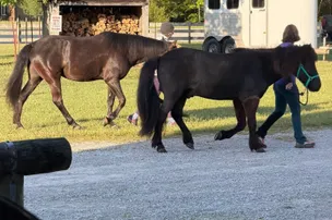True West Campground and Stables – photo 4