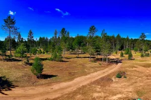 Plum Pines RV Park & Campground – photo 2