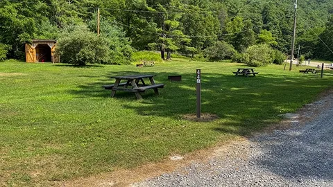 Non-Electric Grass — image 2 of 5