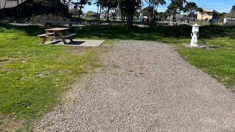 BACK IN ESTUARY FRONT PREMIUM — image 1 of 1