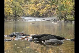 Uncle Jim's River Cove Campground – photo 3