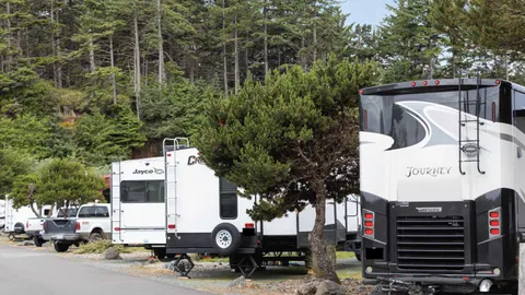 Deluxe Pull Through RV Site — image 5 of 5