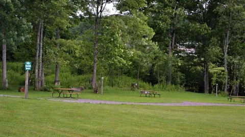 Primitive Tent Site — image 1 of 2