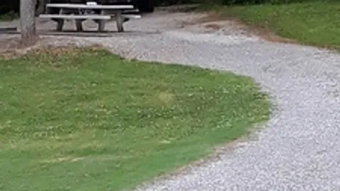 Primitive RV Site — image 2 of 2