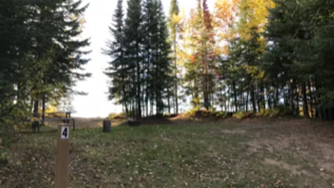 Primitive Tent Site — image 2 of 9