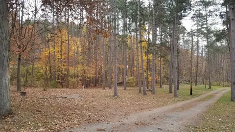 Transient, East Campsite — image 1 of 3