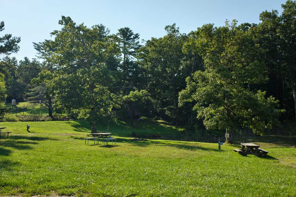 Park Image 18
