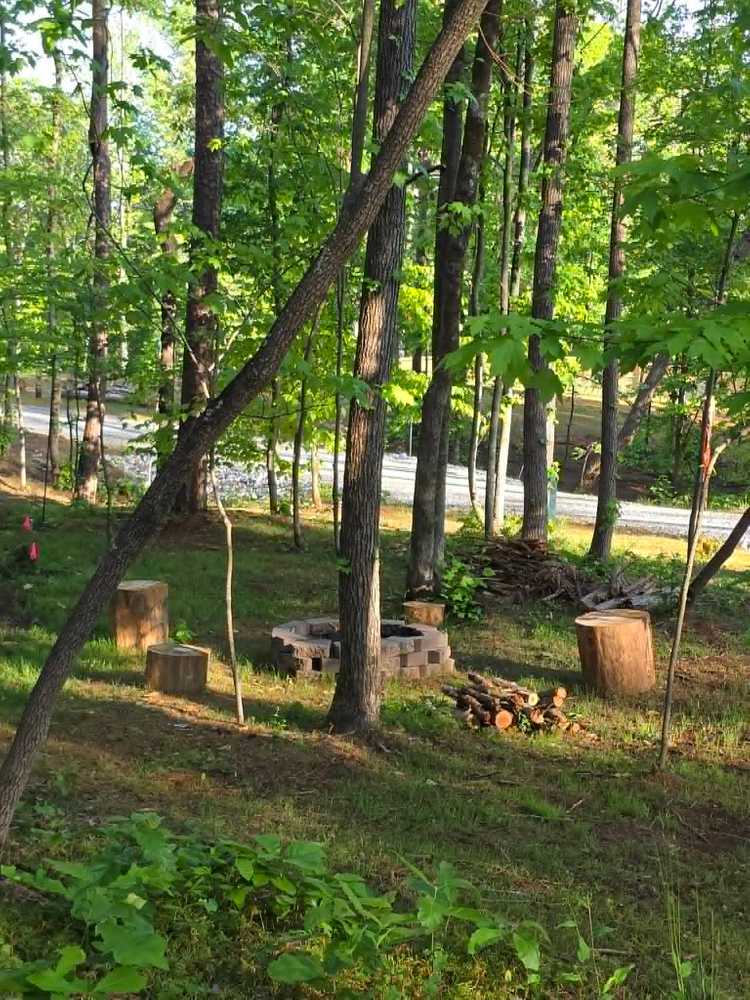 Camp Tails and Trails - Westminster , SC - Photo 2