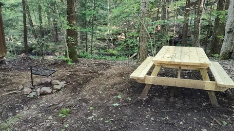Cabin — image 2 of 10