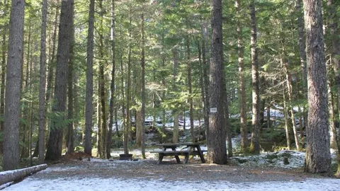 TENT or SMALL RV site with no services — image 2 of 3