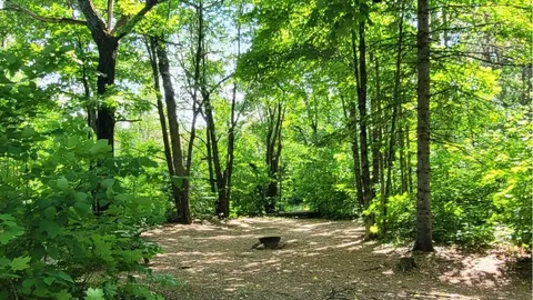 Campsite - Unserviced — image 5 of 5