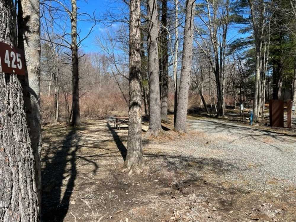 30 amp Full Hook-Up Riverfront RV Site