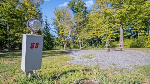Full Hookup RV Site 20/30/50 Amp — image 2 of 2