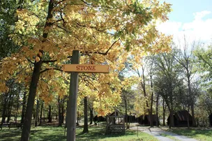 Yogi Bear's Jellystone Park™ Camp-Resort: Niagara Falls – photo 2
