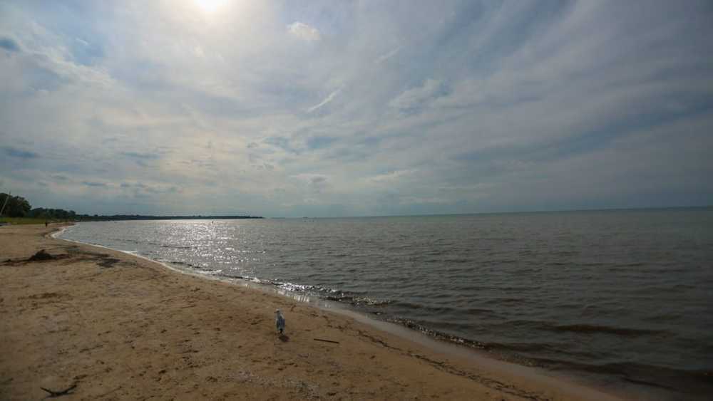 Bloom Resorts Ipperwash - Photo 5