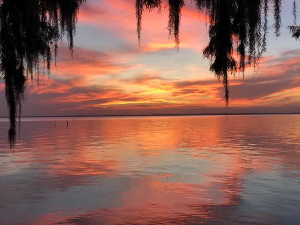 Pine Island RV & Marina, Seville, Florida - Photo 3