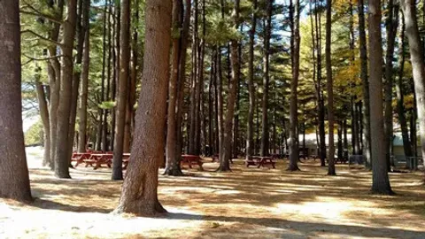 RV Site — image 1 of 1