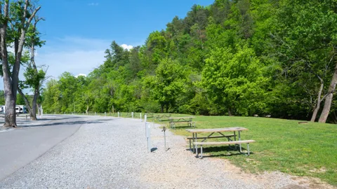 Creekfront Grass / Partial Hookup — image 2 of 6
