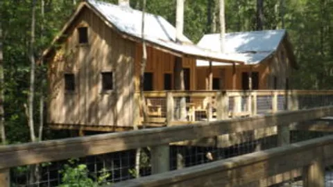 Tree House — image 1 of 6
