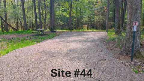 Side 1 - non electric — image 2 of 10