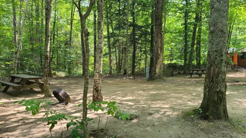 RV- Full Hook Up, Pull Through, Wooded — image 1 of 2