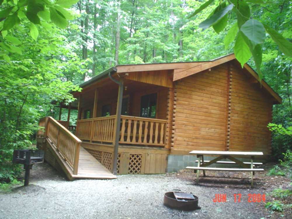 Yogi Bear Luxury Cabin
