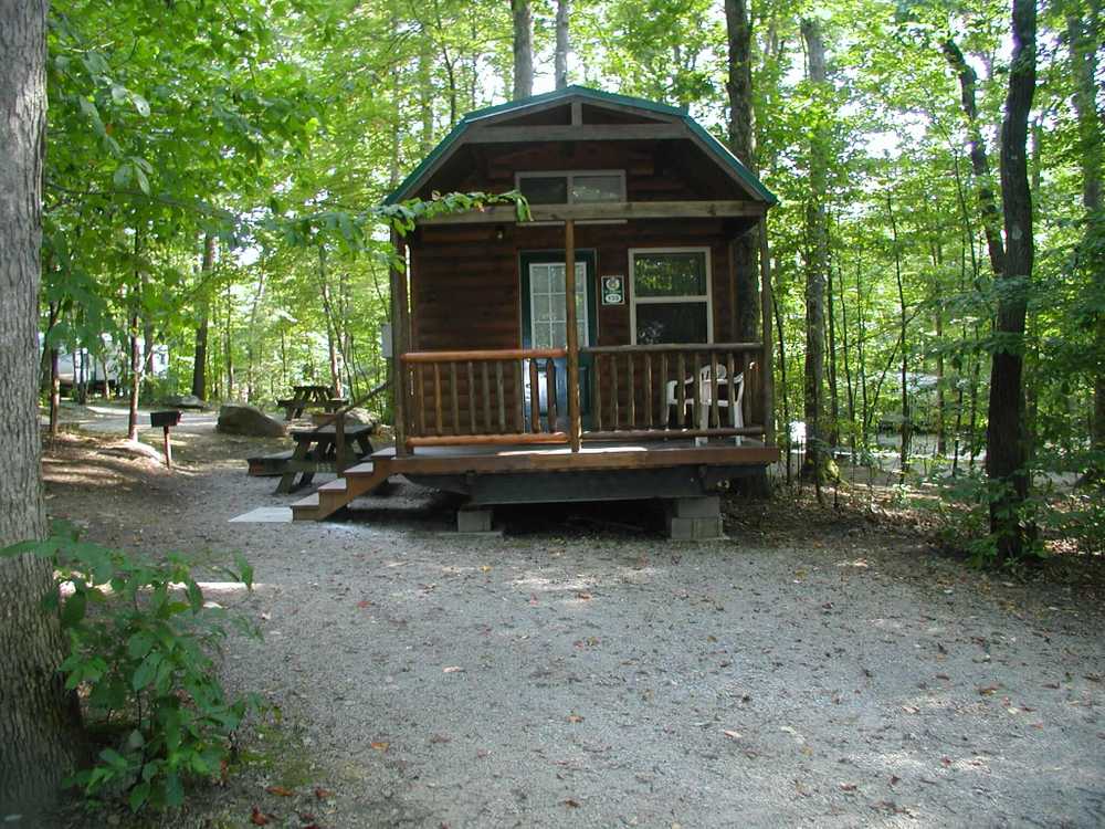 Cindy Bear  Single Loft Cabins
