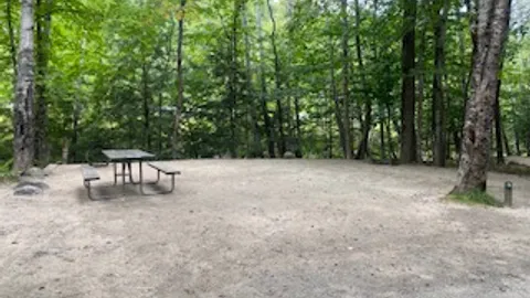 Tent- Wooded — image 2 of 4
