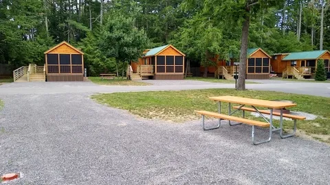 Black Forest Cabin with a Full Kitchen - Pet Friendly — image 1 of 5