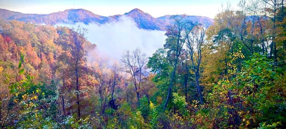 Hillbilly Rentals Resort & Campground - Julian, WV - Photo 2