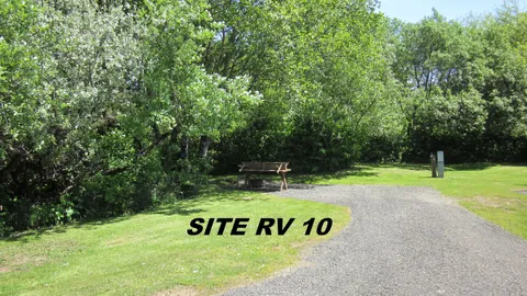 50 Amp RV Site with Water (6 People Max) — image 1 of 1