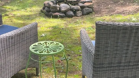Pond Side Cabin — image 2 of 20
