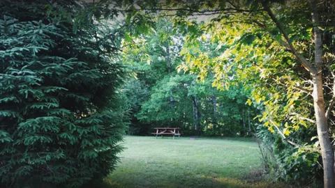 Riverview Site — image 1 of 2