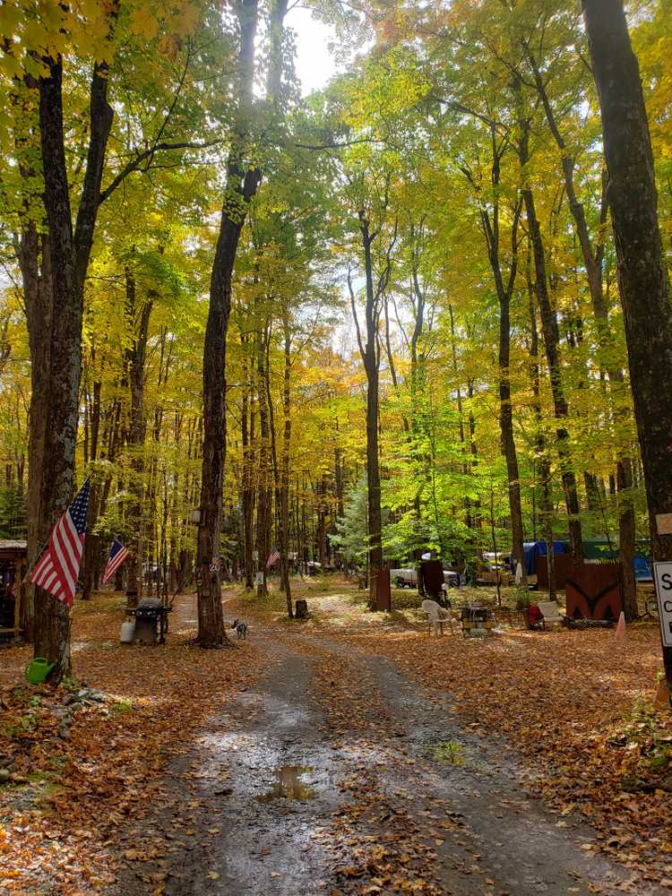 Kinyon's Canyon Campsites, Nassau, New York - Photo 2