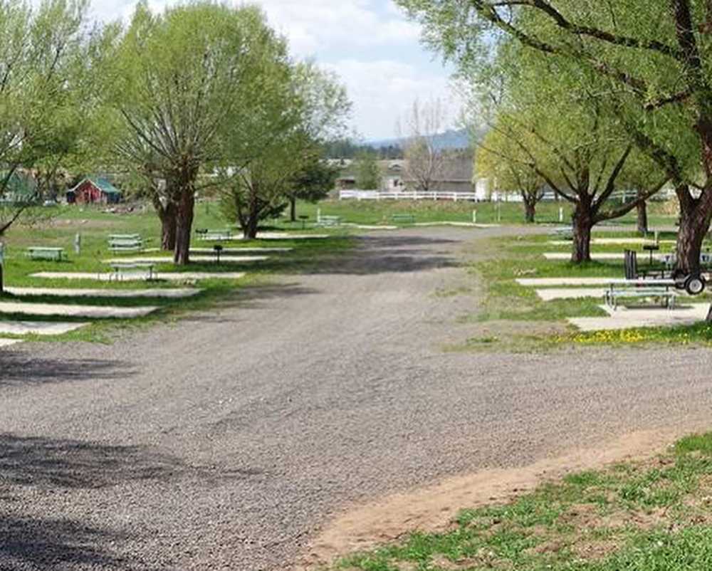 Black Bear RV Park - Photo 3