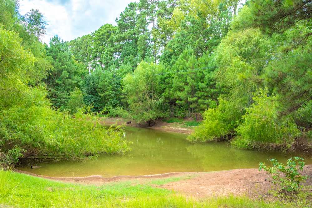 Park Image 11