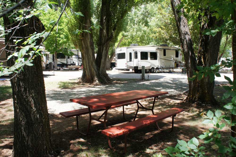 Alpen Rose RV Park - Photo 5