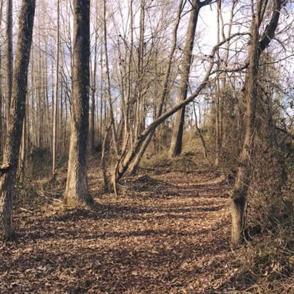 Park Image 5