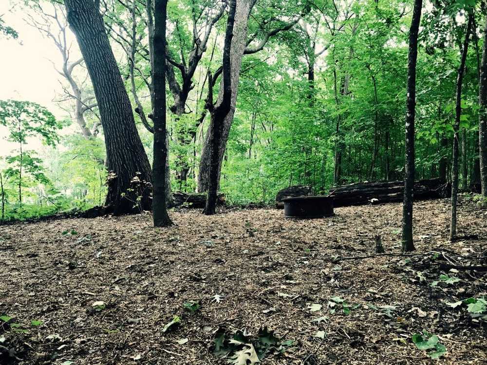 Wild Vines Campground - Photo 4