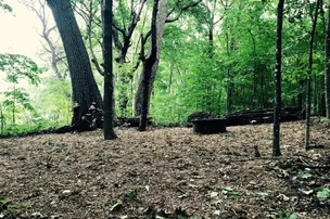 Wild Vines Campground – photo 4