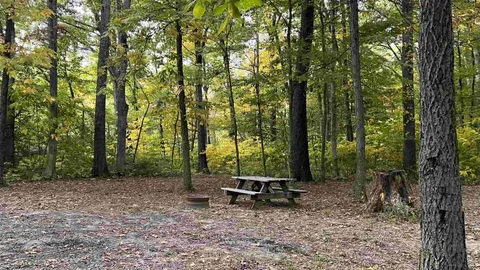 Primitive Tent Site — image 2 of 2