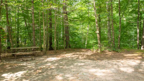 Primitive tent site, no hookups — image 2 of 9