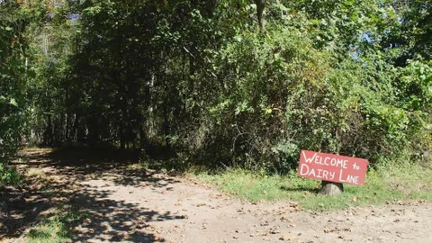Dairy Lane — image 1 of 8